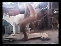 bestialica.com